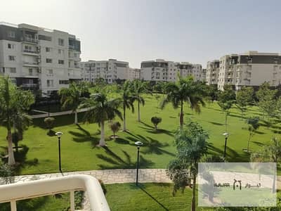 3 Bedroom Flat for Sale in Madinaty, Cairo - صورة واتساب بتاريخ 1446-11-19 في 16.40. 12_40cc2d21. jpg