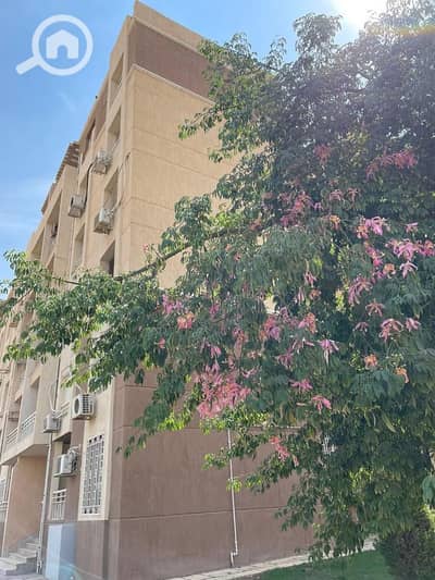 Studio for Sale in Madinaty, Cairo - WhatsApp Image 2024-10-27 at 3.45. 40 PM. jpeg