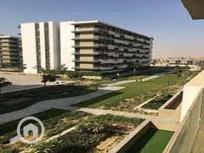 2 Bedroom Apartment for Sale in Shorouk City, Cairo - 78b04d2c-2665-11ef-98c9-86c5f414f289. jpg