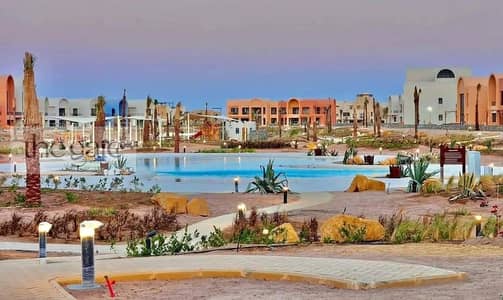 2 Bedroom Flat for Sale in Gouna, Red Sea - 473198774_465695123260386_6452363158817108085_n. jpg