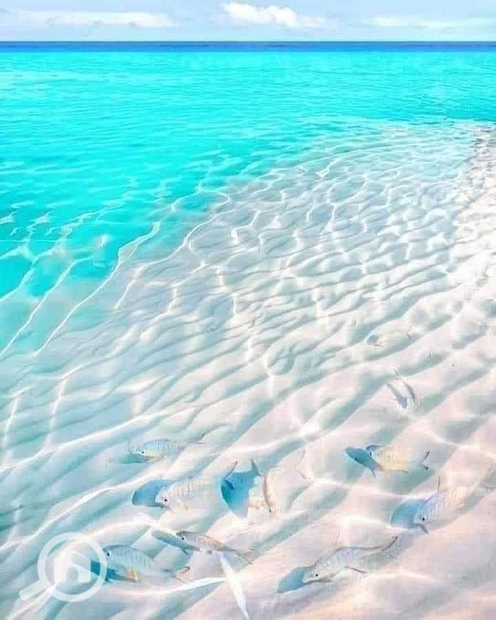 8 شاليه مرسي باغوش. jpg