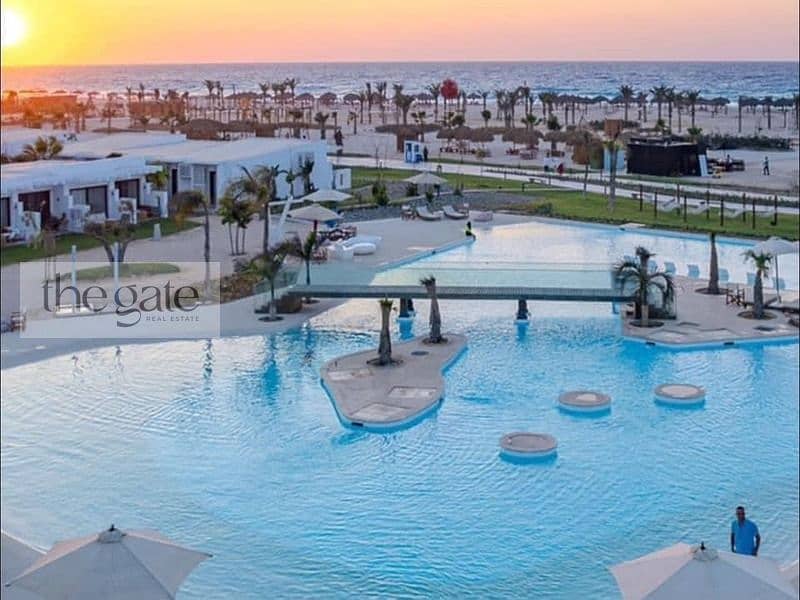 8 ديباي590. jpg