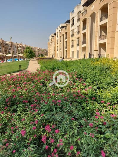 2 Bedroom Apartment for Sale in Katameya, Cairo - 0d9d7a5cd-acea-4cc6-aa20-bd9b31d471d1. jpg