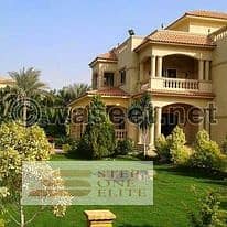 7 Bedroom Villa for Sale in New Cairo, Cairo - 259987041_129461446170525_9187149191684692447_n. jpg