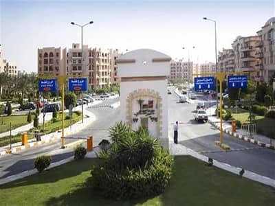 Studio for Rent in New Cairo, Cairo - مدينة-الرحاب. jpg
