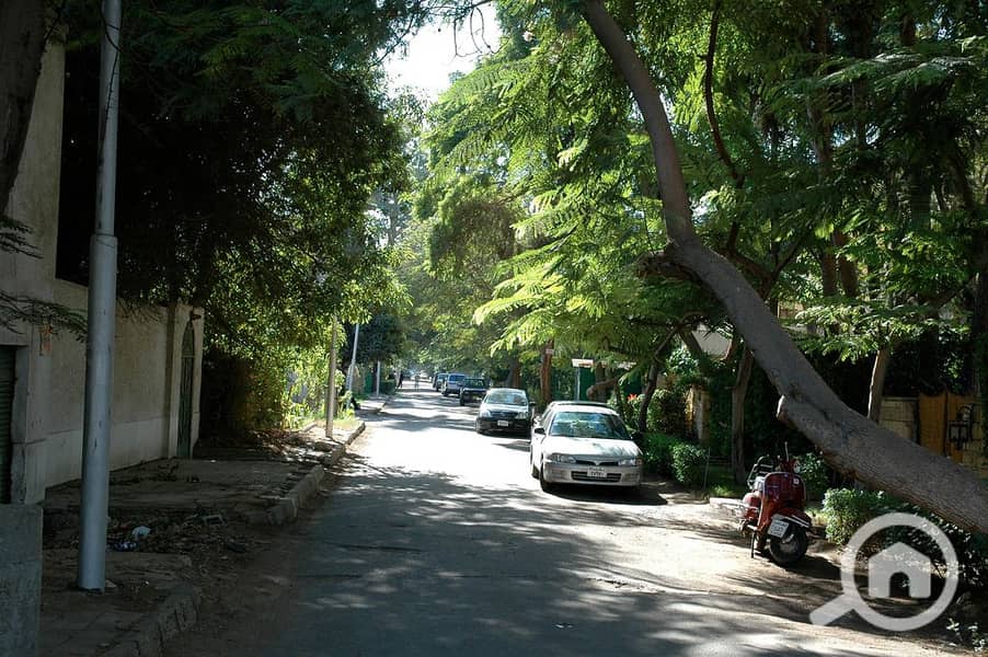 6 5. jpg
