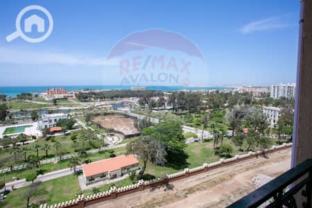 فلیٹ 3 غرف نوم للبيع في المندرة، الإسكندرية - 2. jpg