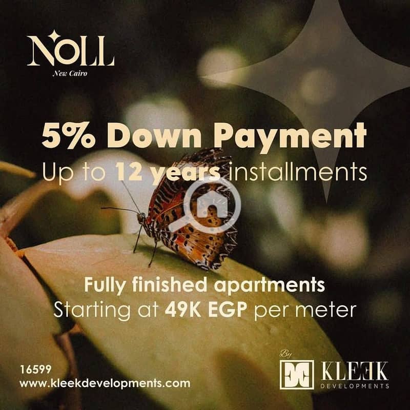 5 480239072_1184540396589005_1144522988970976305_n. jpg