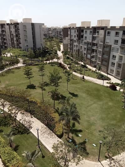 3 Bedroom Flat for Sale in Madinaty, Cairo - WhatsApp Image 2025-05-19 at 11.47. 27 AM (2). jpeg