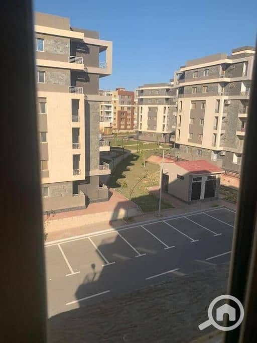 6 453971018. jpg