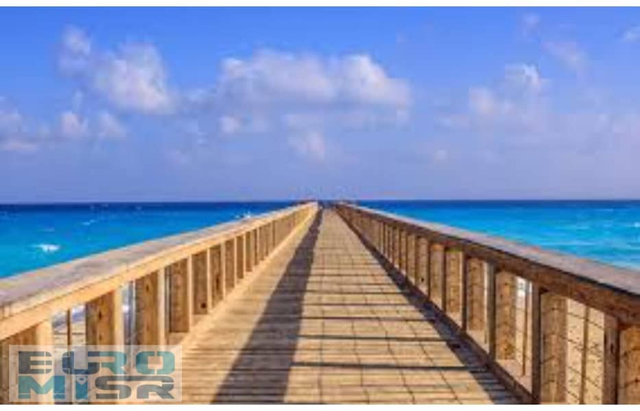 11 images (3). jfif. jpg