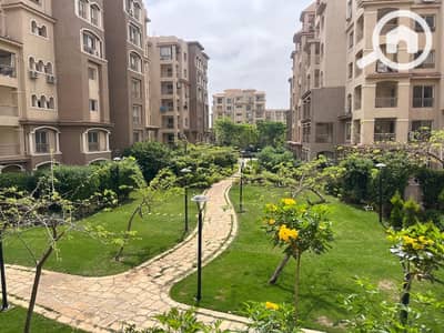 3 Bedroom Flat for Sale in Madinaty, Cairo - WhatsApp Image 2025-05-20 at 1.39. 16 PM. jpeg