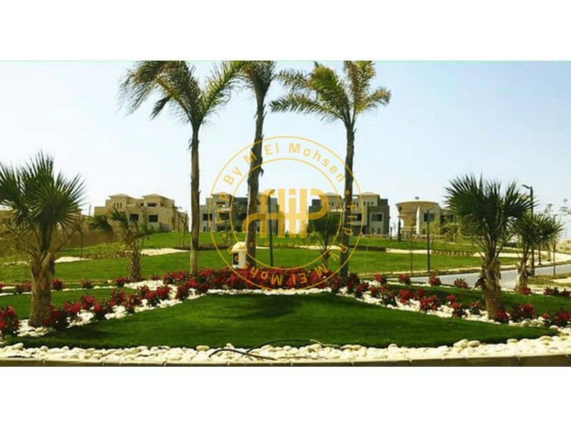 9 Palm-Hills-Bamboo-01. png