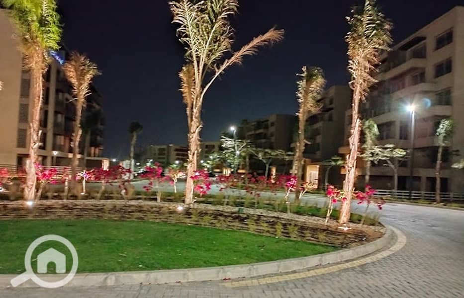 11 2024-04-05. jpg