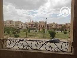 3 النرجس 3. jpg