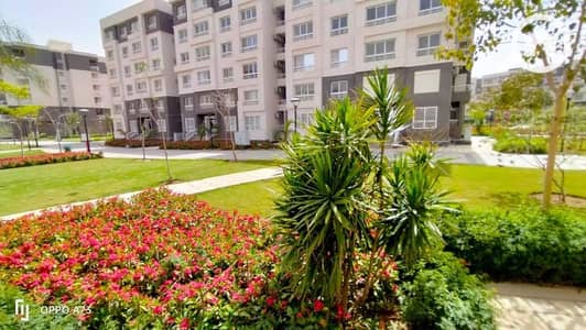 3 Bedroom Flat for Sale in Madinaty, Cairo - WhatsApp Image 2024-09-16 at 5.05. 09 PM. jpeg