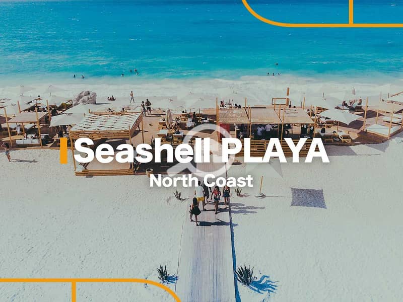 sea-shell-playa-north-coast (1). jpg