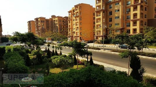 فیلا 5 غرف نوم للبيع في مدينتي، القاهرة - مدينتي. jpg