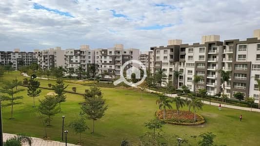 3 Bedroom Flat for Sale in Madinaty, Cairo - WhatsApp Image 2025-05-22 at 12.45. 46 PM. jpeg