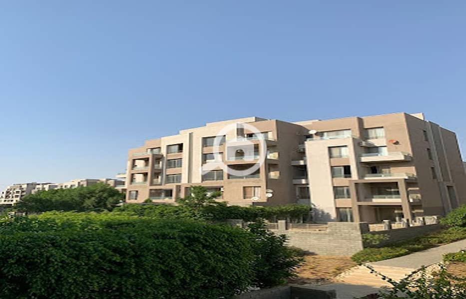 3 2020-09-29. jpg