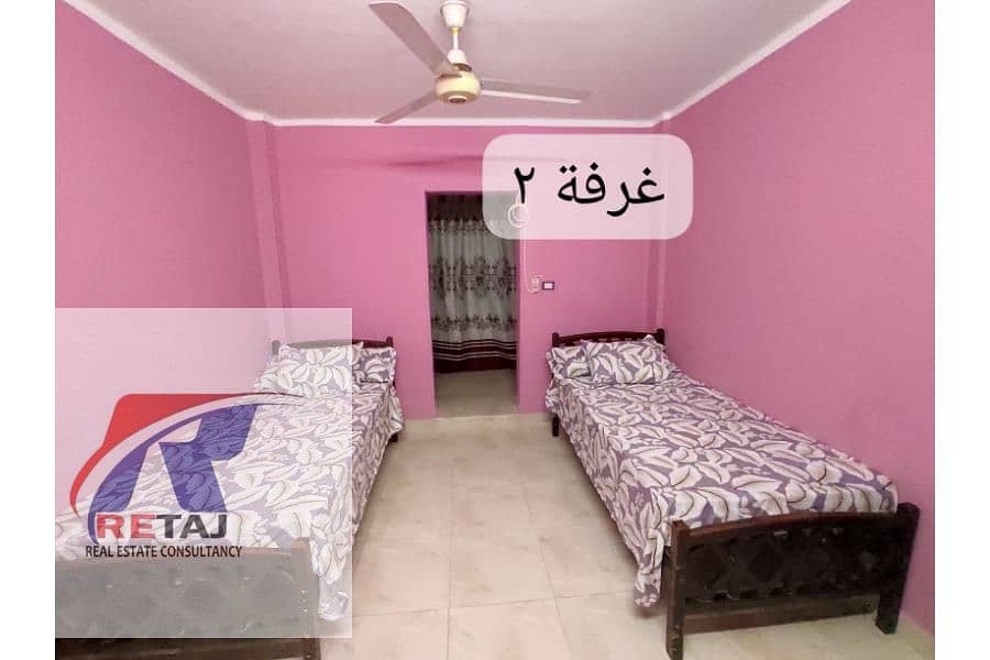 5 5. jpg