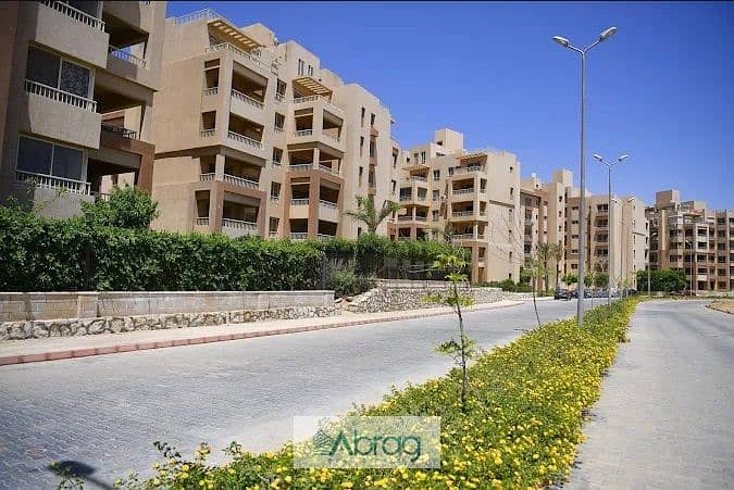 7 صثصث. jpg