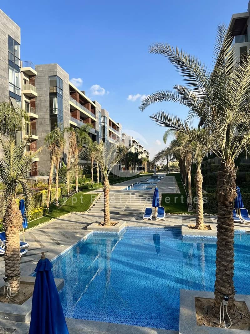 4 494547363_704106565404436_2134969896817139719_n (1). jpg