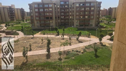 3 Bedroom Flat for Rent in Shorouk City, Cairo - WhatsApp Image 2025-05-11 at 4.27. 37 PM. jpeg