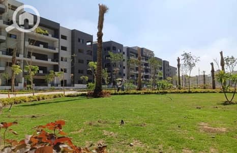 3 Bedroom Apartment for Sale in New Cairo, Cairo - WhatsApp Image 2025-04-16 at 2.05. 13 PM. jpeg