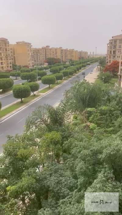 2 Bedroom Flat for Sale in Madinaty, Cairo - WhatsApp Image 2025-05-25 at 12.13. 51 PM (3). jpeg