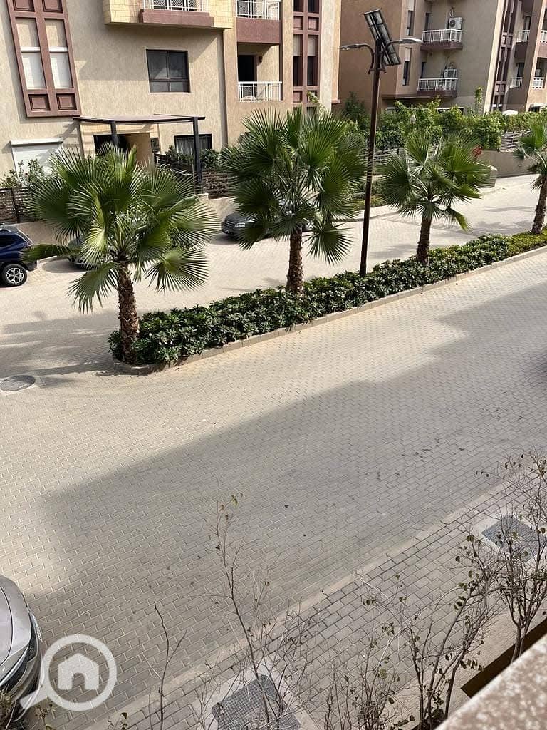 8 IMG_4677. jpeg