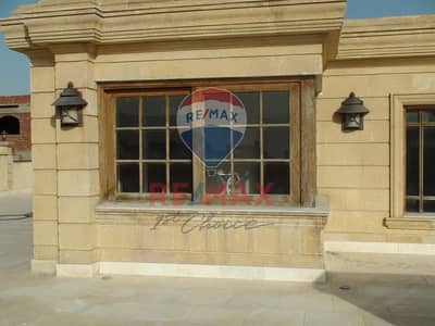Studio for Rent in New Cairo, Cairo - 4295aa73-0306-4306-8516-76f00ae5f7d9. jpg