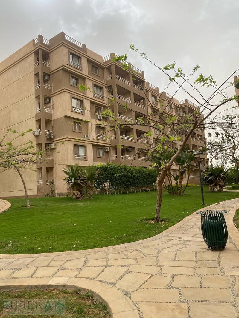الصورة الرئيسية. jpg