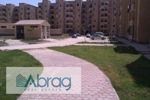 5 بدر الدين 6. jpg
