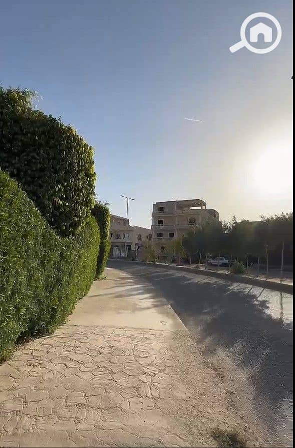 9 5. jpg
