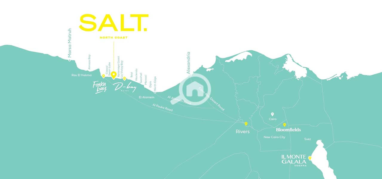4 SALT low_Page_06. jpg