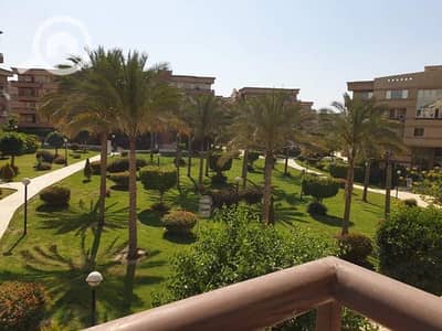 3 Bedroom Apartment for Sale in New Cairo, Cairo - WhatsApp Image 2024-11-24 at 2.26. 56 PM. jpeg