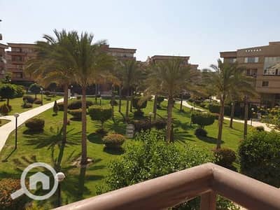 شقة 3 غرف نوم للايجار في القاهرة الجديدة، القاهرة - WhatsApp Image 2024-11-24 at 2.26. 56 PM. jpeg