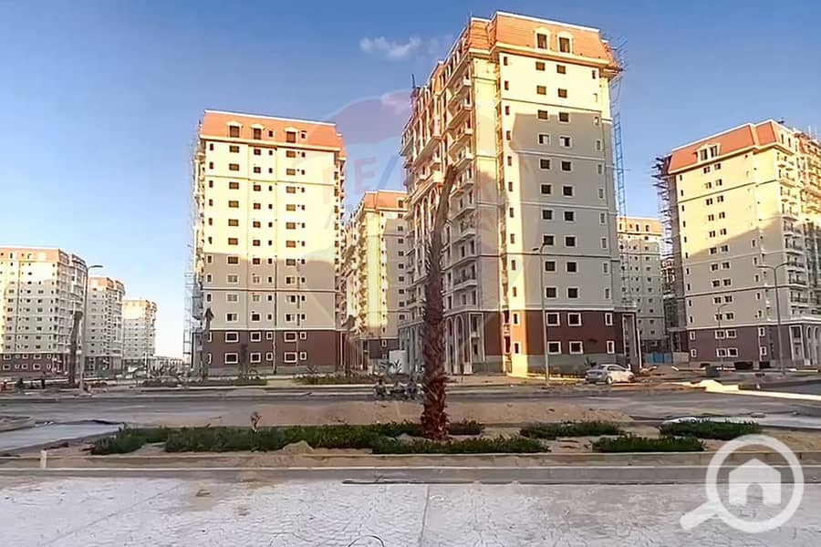 5 5. jpg