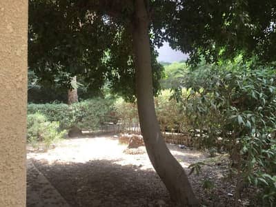 Residential Land for Sale in Maadi, Cairo - ارض للبيع فى المعادي الجديدة