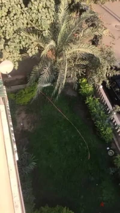 Residential Land for Sale in Maadi, Cairo - من المالك الأصلى. مبنى سكنى مكون من ثلاث ادوار