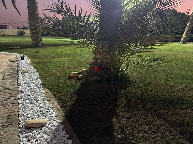 16 WhatsApp Image 2024-10-08 at 7.06. 52 AM. jpeg