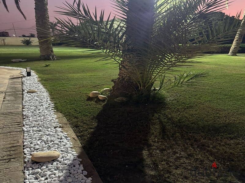 4 WhatsApp Image 2024-10-08 at 7.06. 52 AM. jpeg