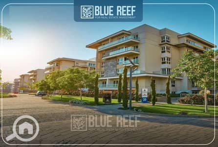 3 Bedroom Flat for Sale in New Cairo, Cairo - WhatsApp Image 2025-05-26 at 4.44. 42 PM. jpeg