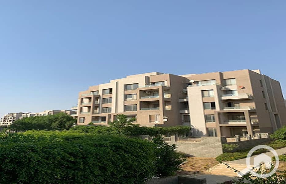 3 2020-09-29. jpg
