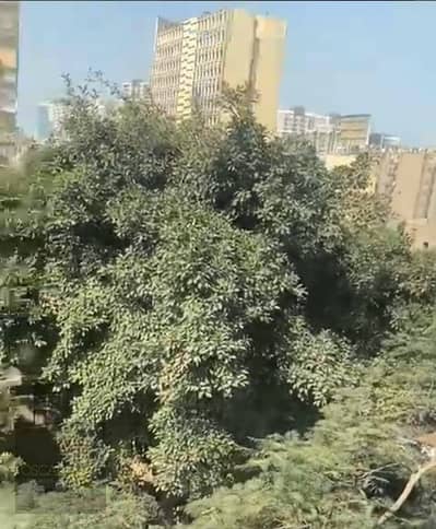 عقار سكني آخر 4 غرف نوم للبيع في المنيل، القاهرة - WhatsApp Image 2024-04-16 at 7.06. 55 PM (2). jpeg