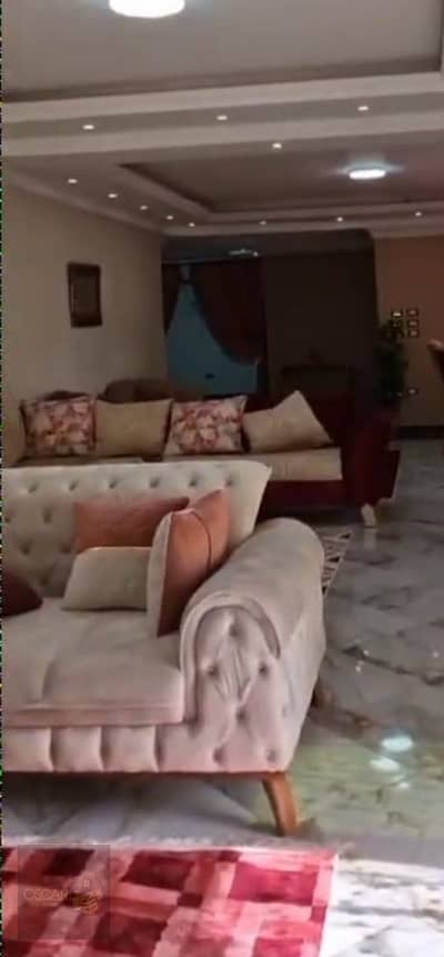 فلیٹ 3 غرف نوم للايجار في المنيل، القاهرة - WhatsApp Image 2025-04-29 at 2.25. 02 PM. jpeg