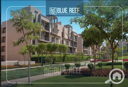 3 Bedroom Flat for Rent in New Cairo, Cairo - mbmg. jpg