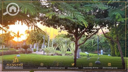3 Bedroom Villa for Sale in Madinaty, Cairo - WhatsApp Image 2025-05-21 at 1.27. 18 PM (4). jpeg