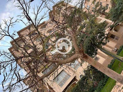 4 Bedroom Flat for Sale in Madinaty, Cairo - WhatsApp Image 2024-09-26 at 1.55. 58 PM. jpeg